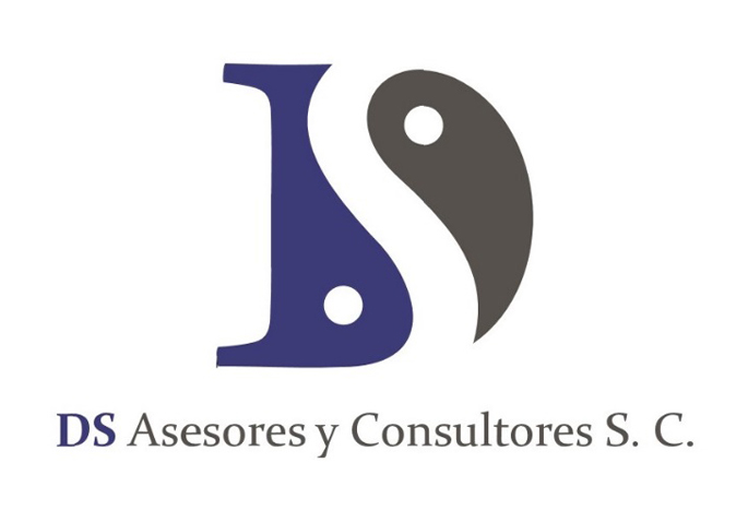 DS Asesores y Consultores S. C.